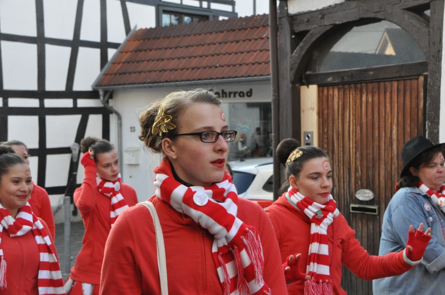 Foto Karnevalszug 2015