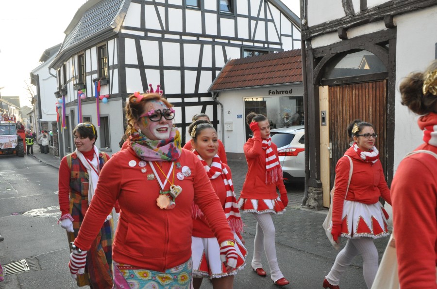 Foto Karnevalszug 2015
