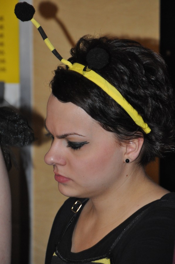 Foto Kost�mball 2016