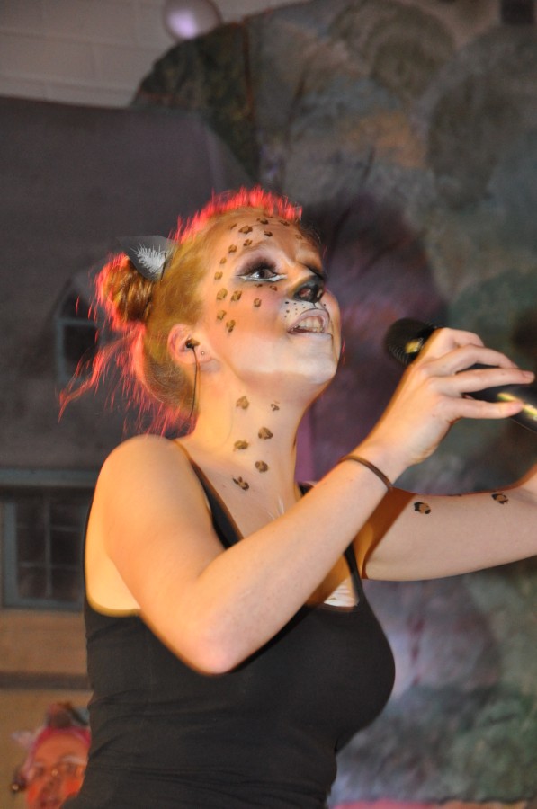 Foto Kost�mball 2016