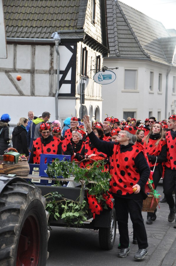Foto Karnevalszug 2016