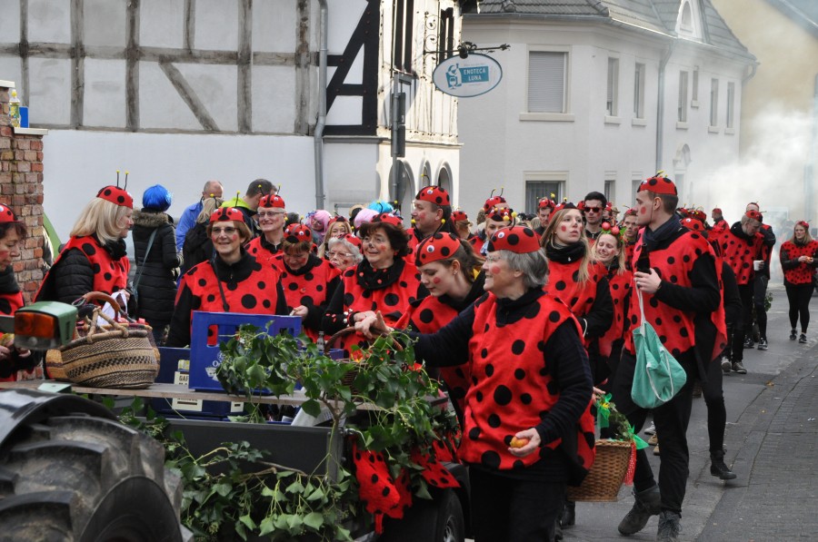 Foto Karnevalszug 2016