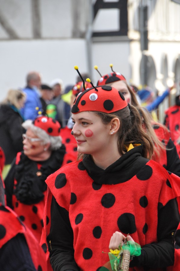 Foto Karnevalszug 2016