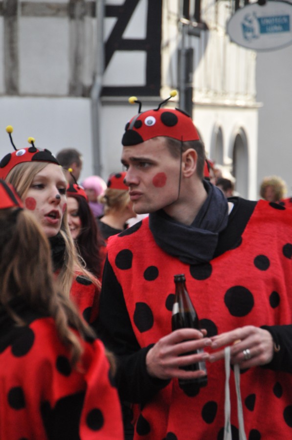 Foto Karnevalszug 2016
