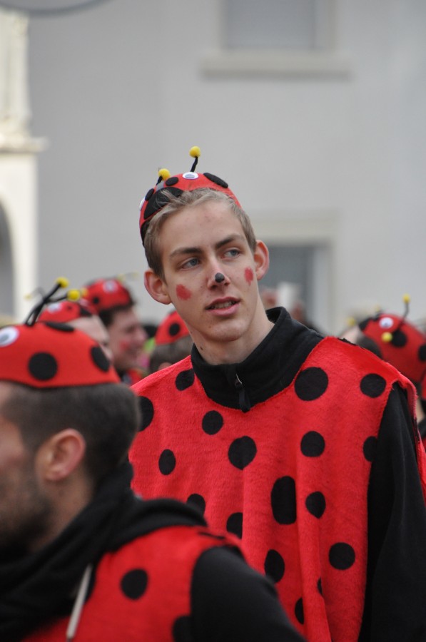 Foto Karnevalszug 2016