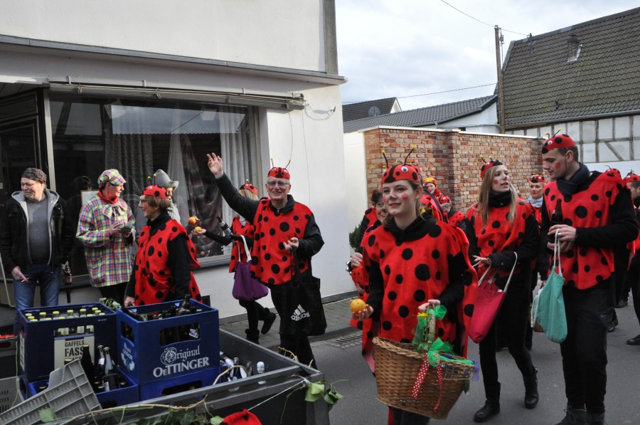 Foto Karnevalszug 2016