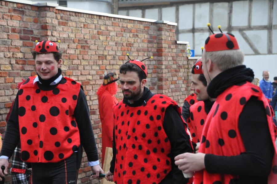 Foto Karnevalszug 2016