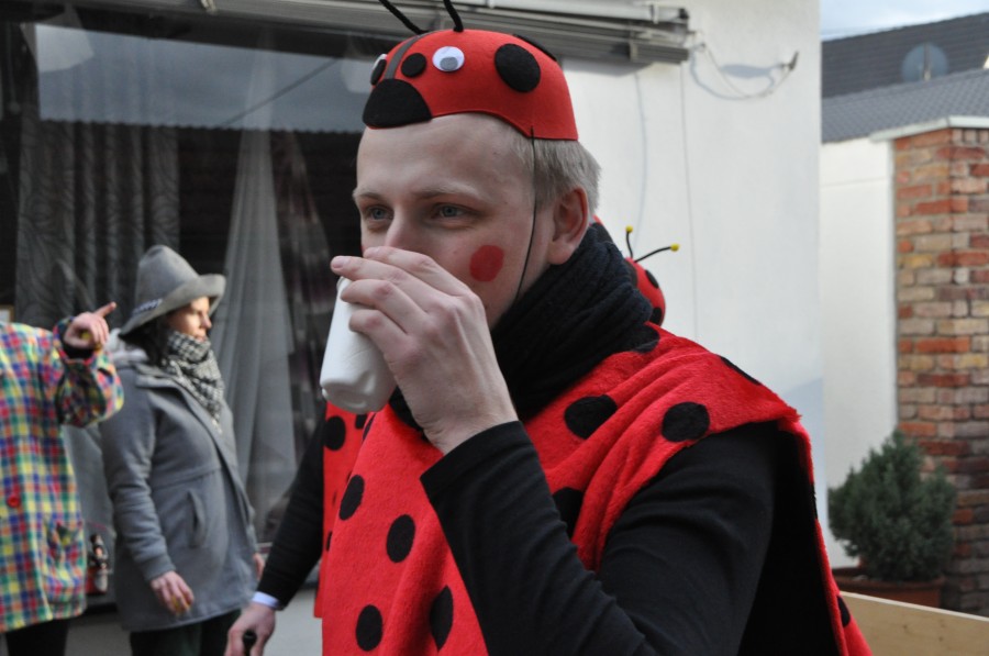 Foto Karnevalszug 2016