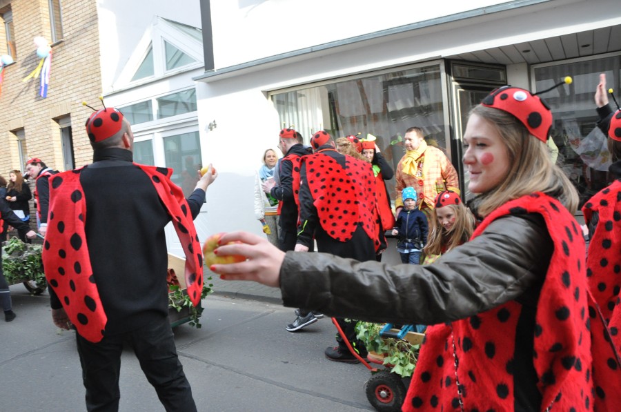 Foto Karnevalszug 2016