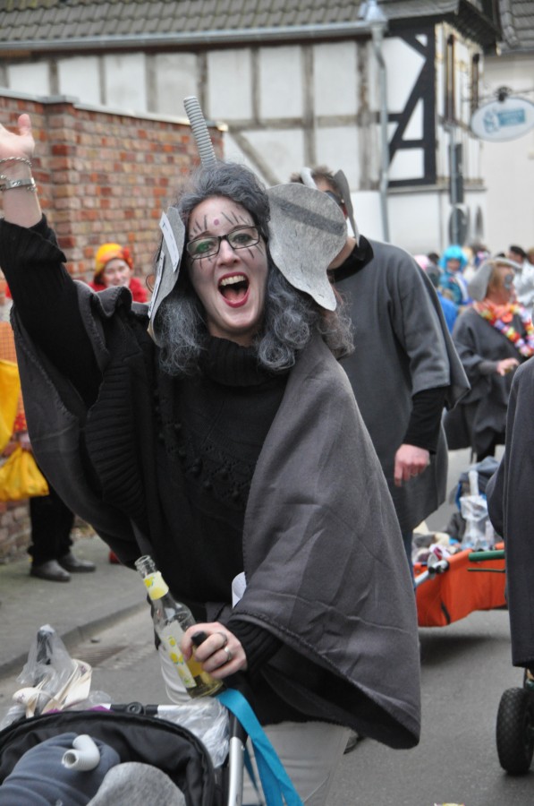 Foto Karnevalszug 2016