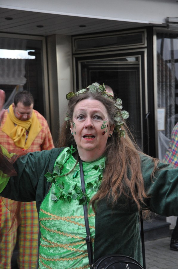 Foto Karnevalszug 2016