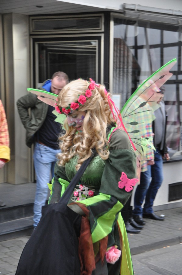 Foto Karnevalszug 2016