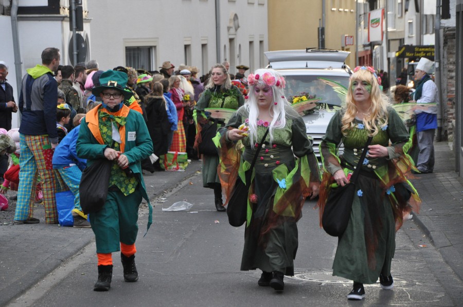 Foto Karnevalszug 2016