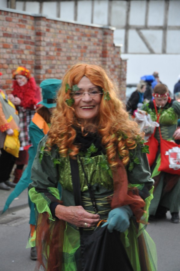 Foto Karnevalszug 2016