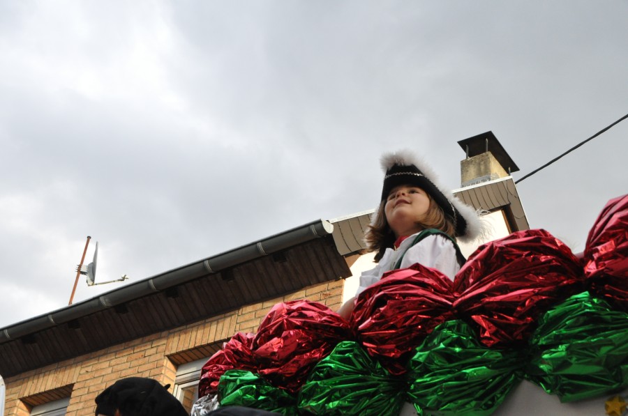 Foto Karnevalszug 2016