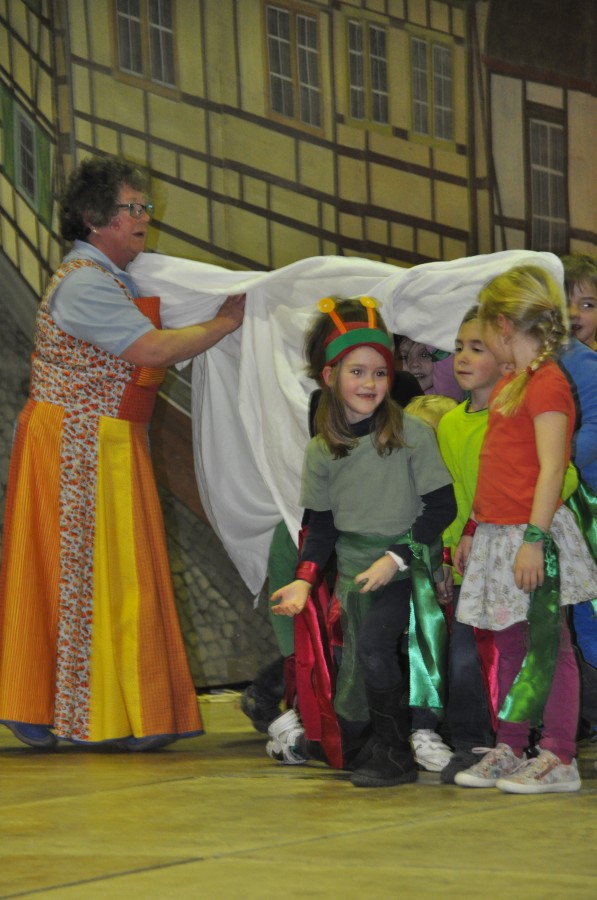 Foto Seniorenkarneval 2017