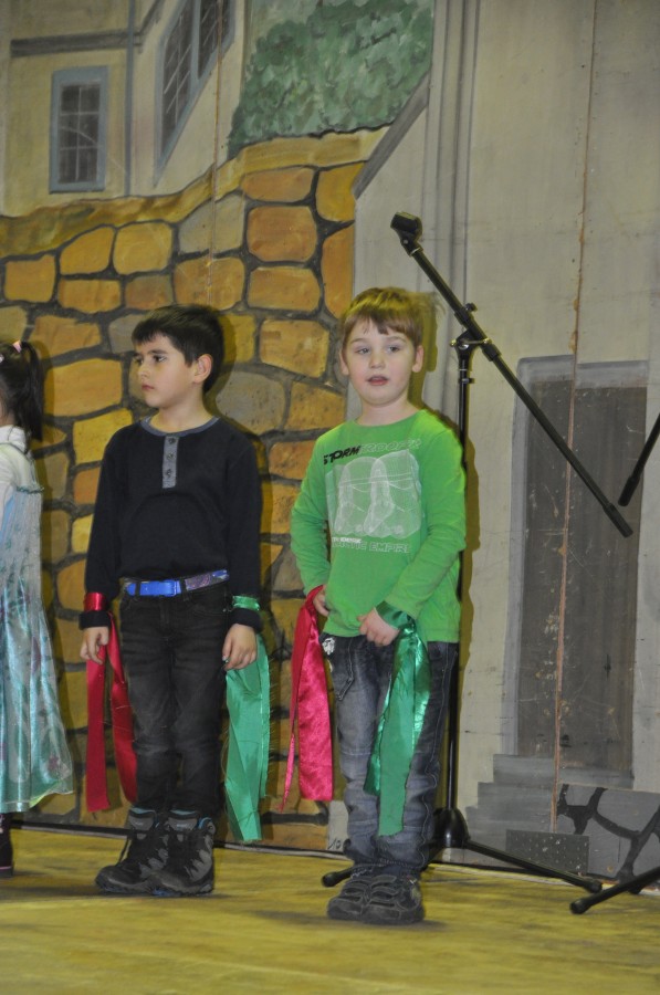 Foto Seniorenkarneval 2017