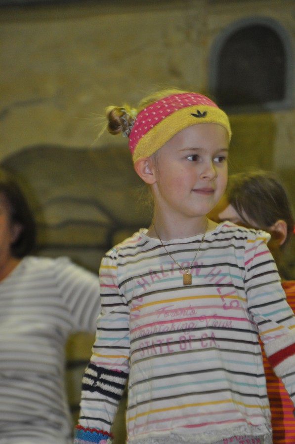 Foto Seniorenkarneval 2017