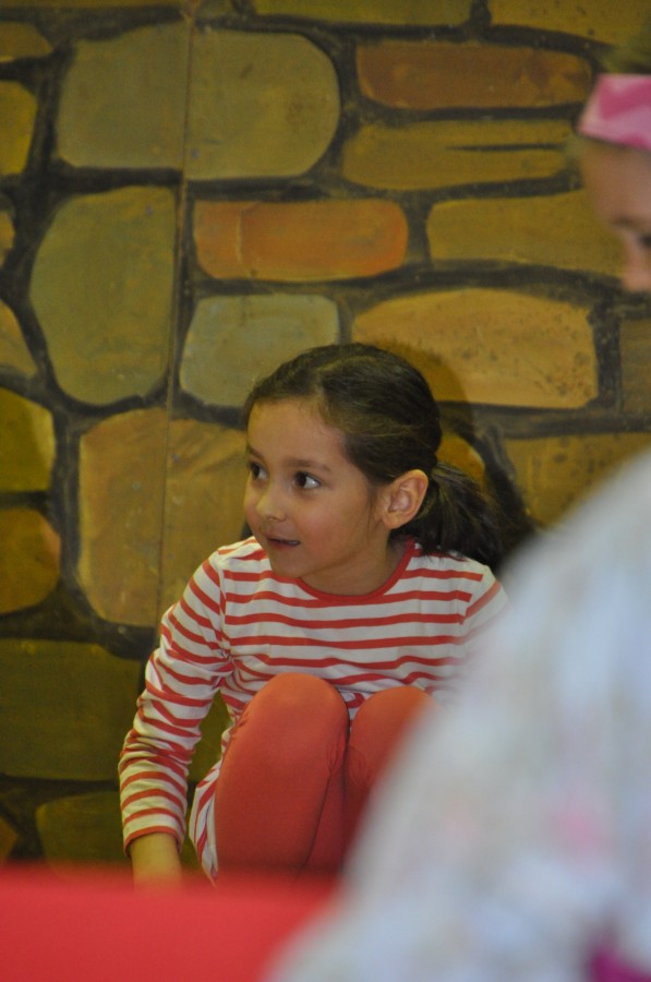 Foto Seniorenkarneval 2017