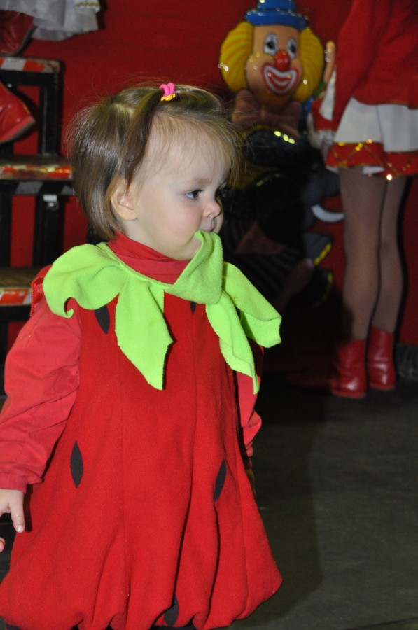 Foto Seniorenkarneval 2017