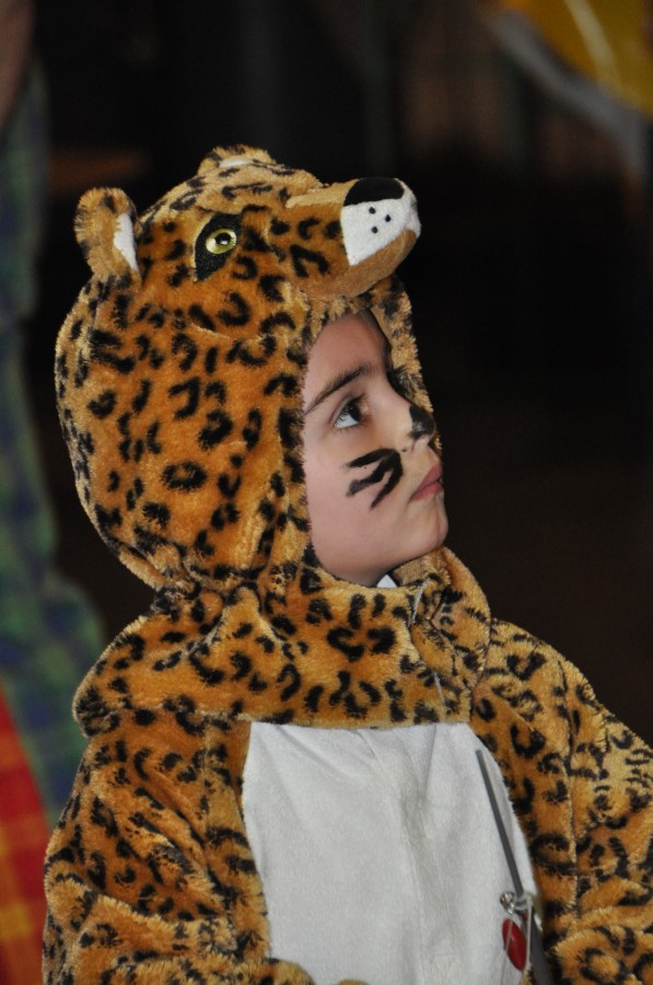 Foto Kinderkarneval 2017