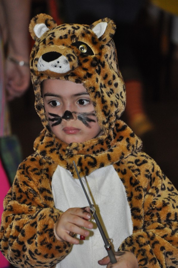 Foto Kinderkarneval 2017