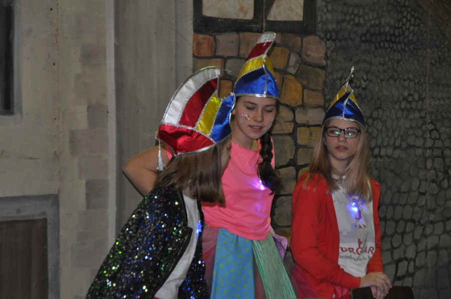 Foto Kinderkarneval 2017