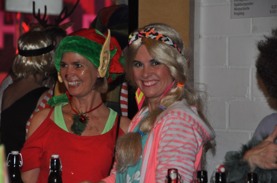 Foto SWR3-ElchParty 2017