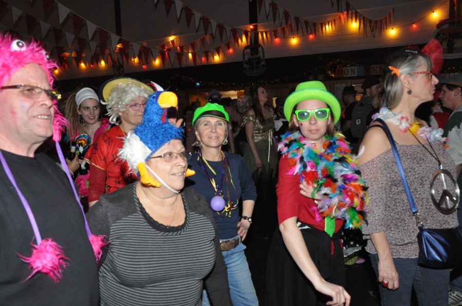 Foto SWR3-ElchParty 2017