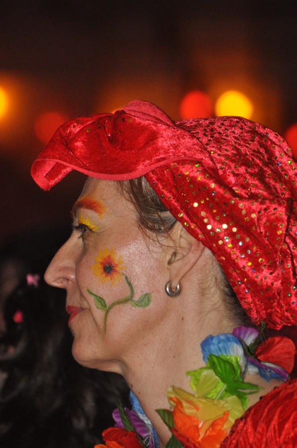 Foto SWR3-ElchParty 2017