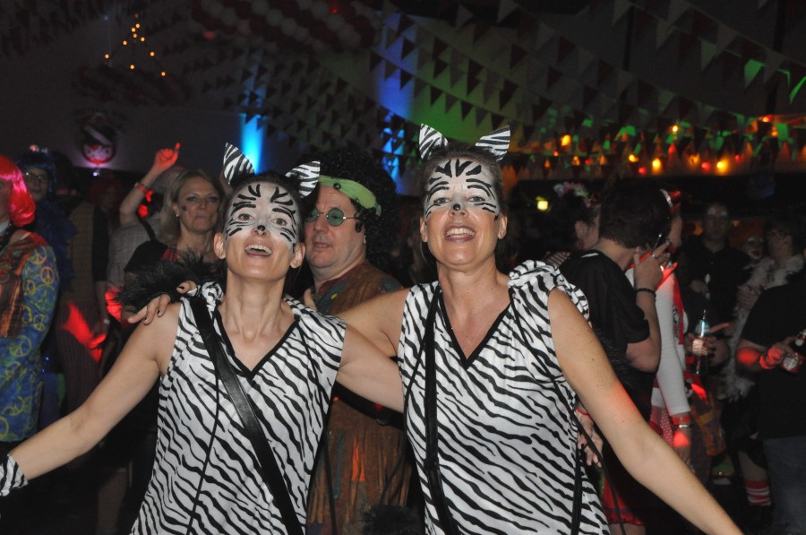 Foto SWR3-ElchParty 2017