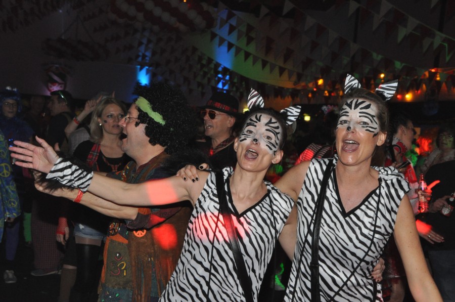 Foto SWR3-ElchParty 2017