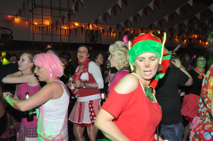 Foto SWR3-ElchParty 2017