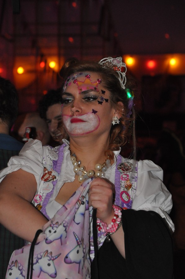 Foto SWR3-ElchParty 2017