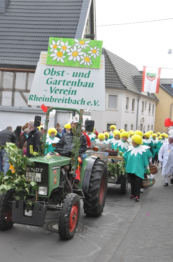 Foto Karnevalszug 2017