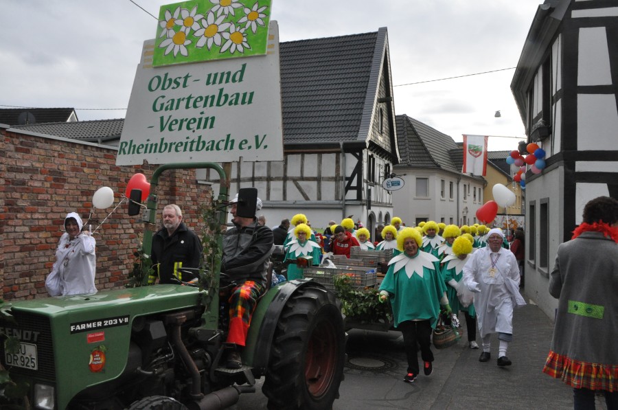 Foto Karnevalszug 2017