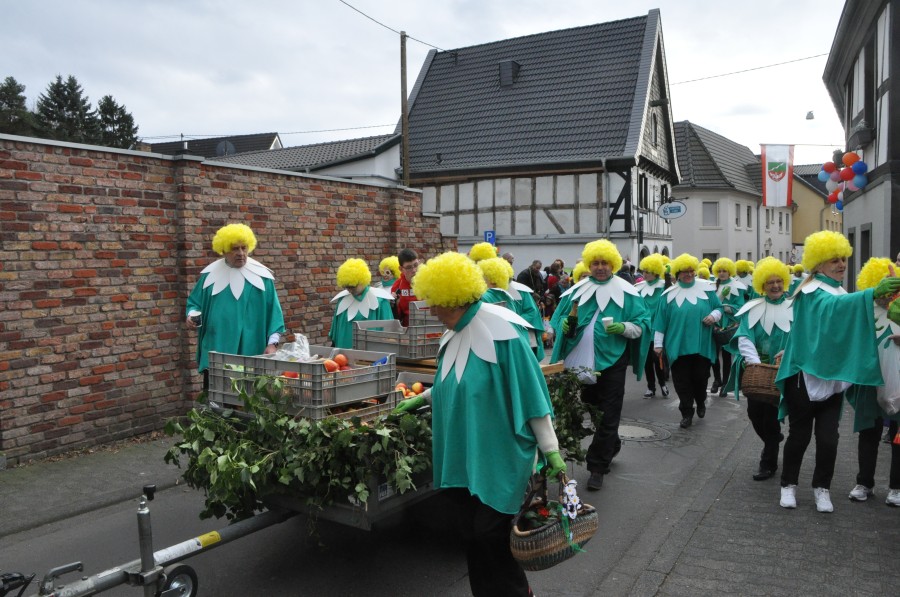 Foto Karnevalszug 2017