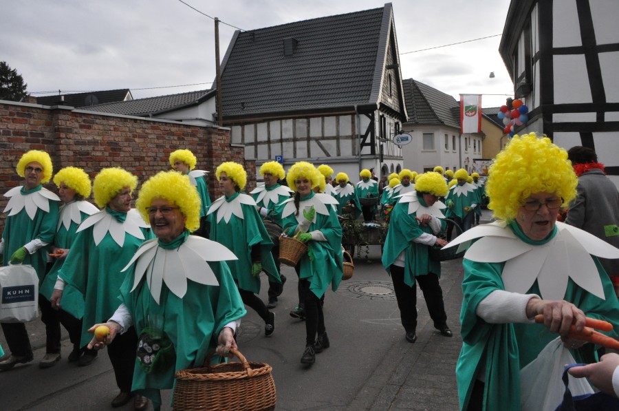 Foto Karnevalszug 2017
