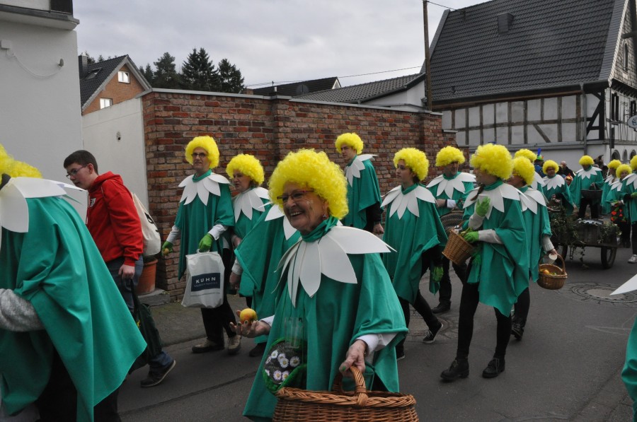 Foto Karnevalszug 2017