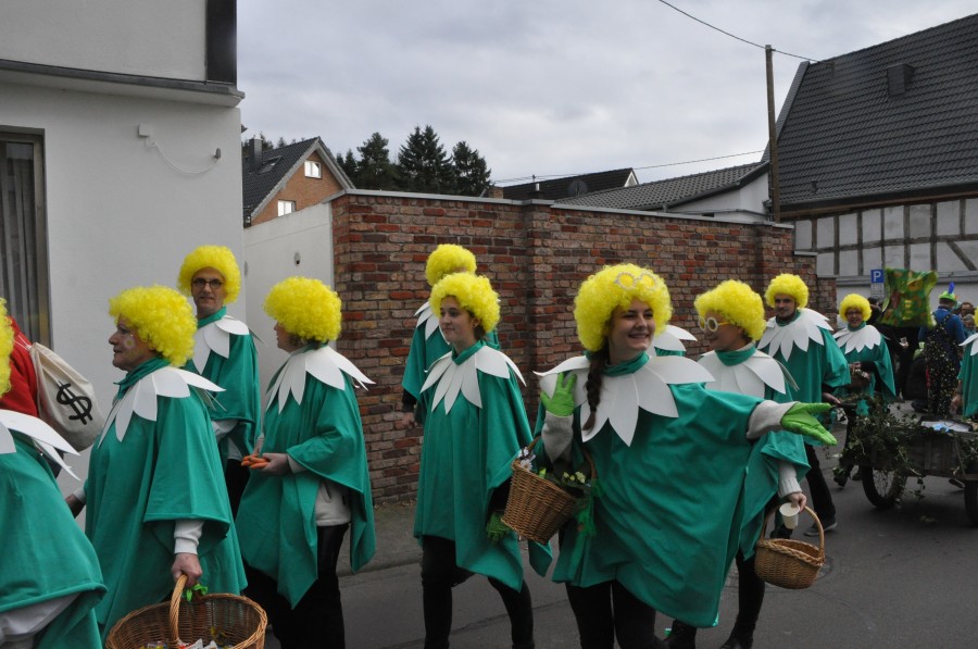 Foto Karnevalszug 2017