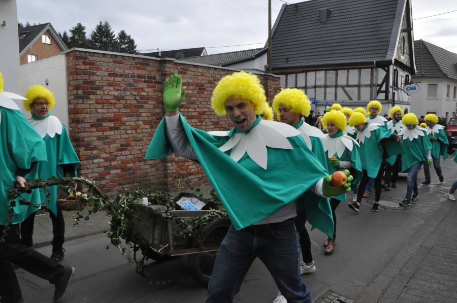 Foto Karnevalszug 2017