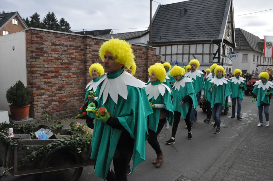 Foto Karnevalszug 2017
