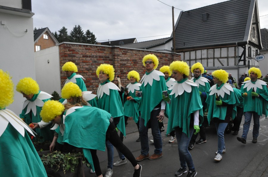 Foto Karnevalszug 2017