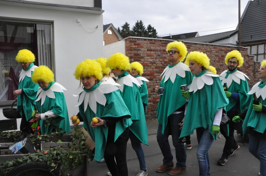 Foto Karnevalszug 2017