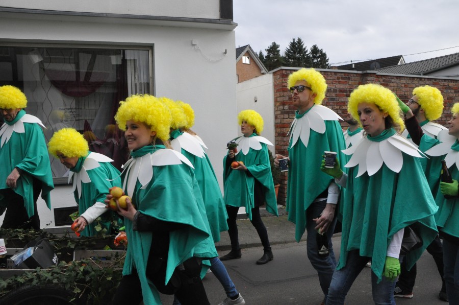 Foto Karnevalszug 2017