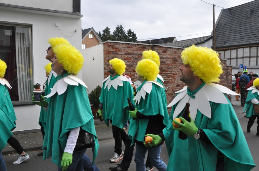 Foto Karnevalszug 2017