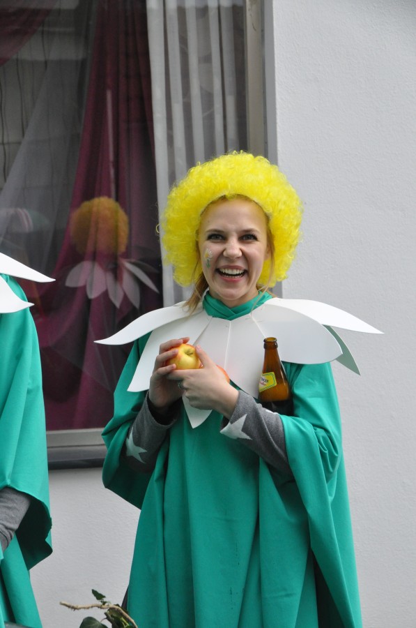 Foto Karnevalszug 2017