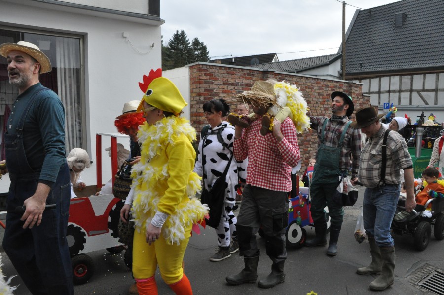 Foto Karnevalszug 2017