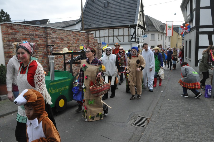 Foto Karnevalszug 2017