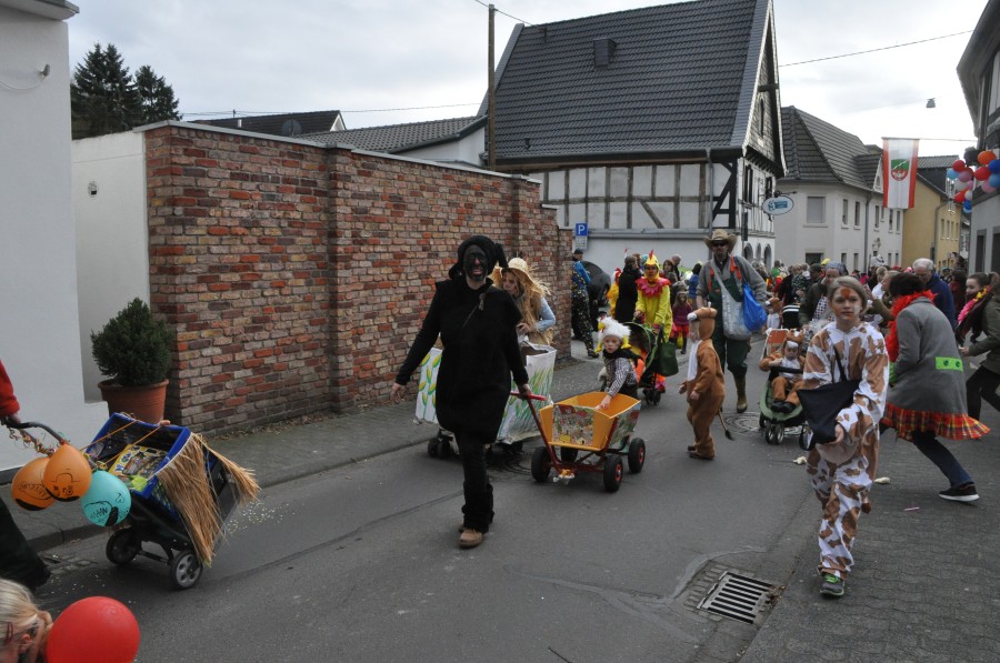 Foto Karnevalszug 2017